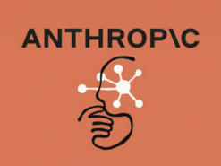 Anthropic вмикає автоматичний режим Клода Кода за замовчуванням